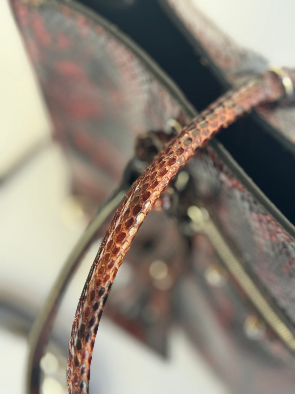 2017 Python Balenciaga Bag