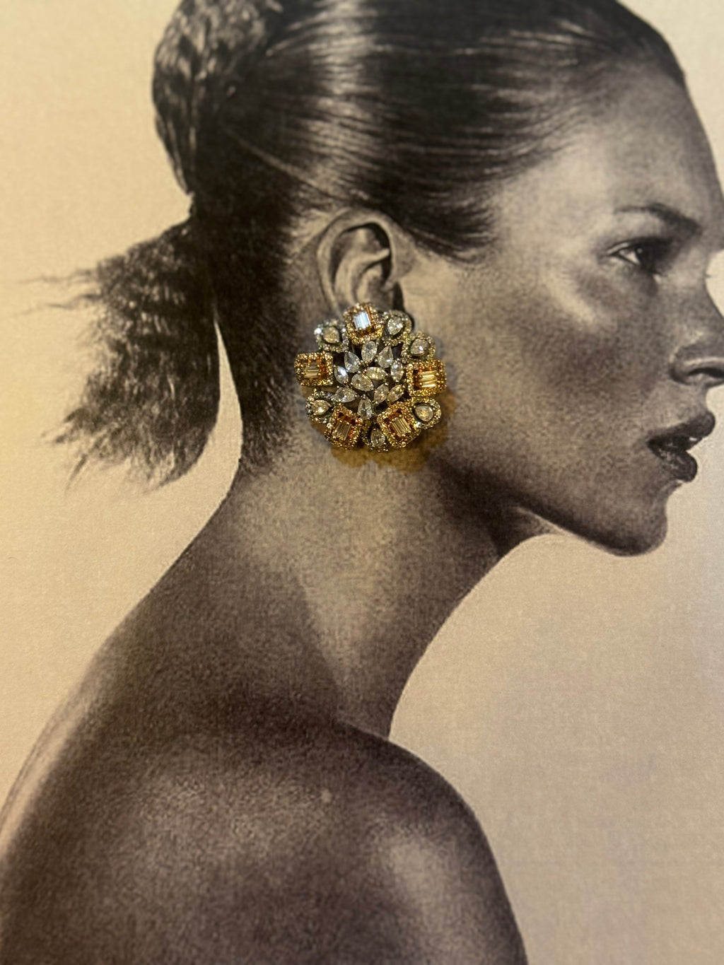 Diamantine icecycle shiny earrings