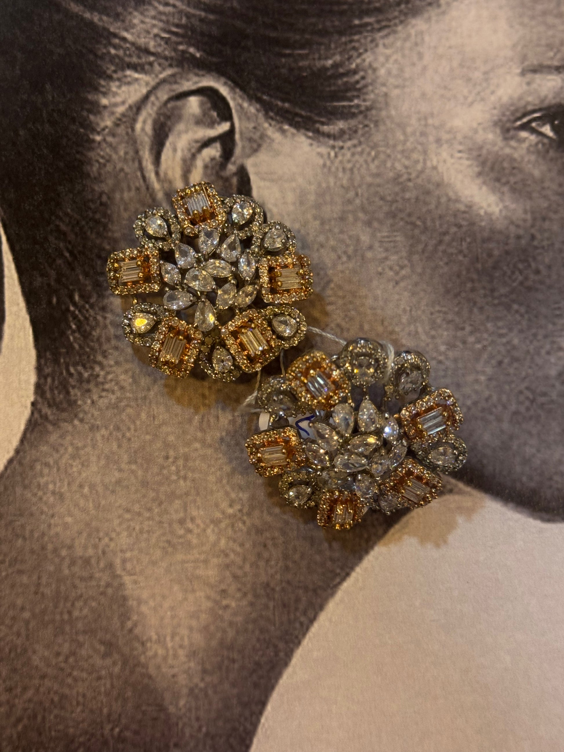 Diamantine icecycle shiny earrings