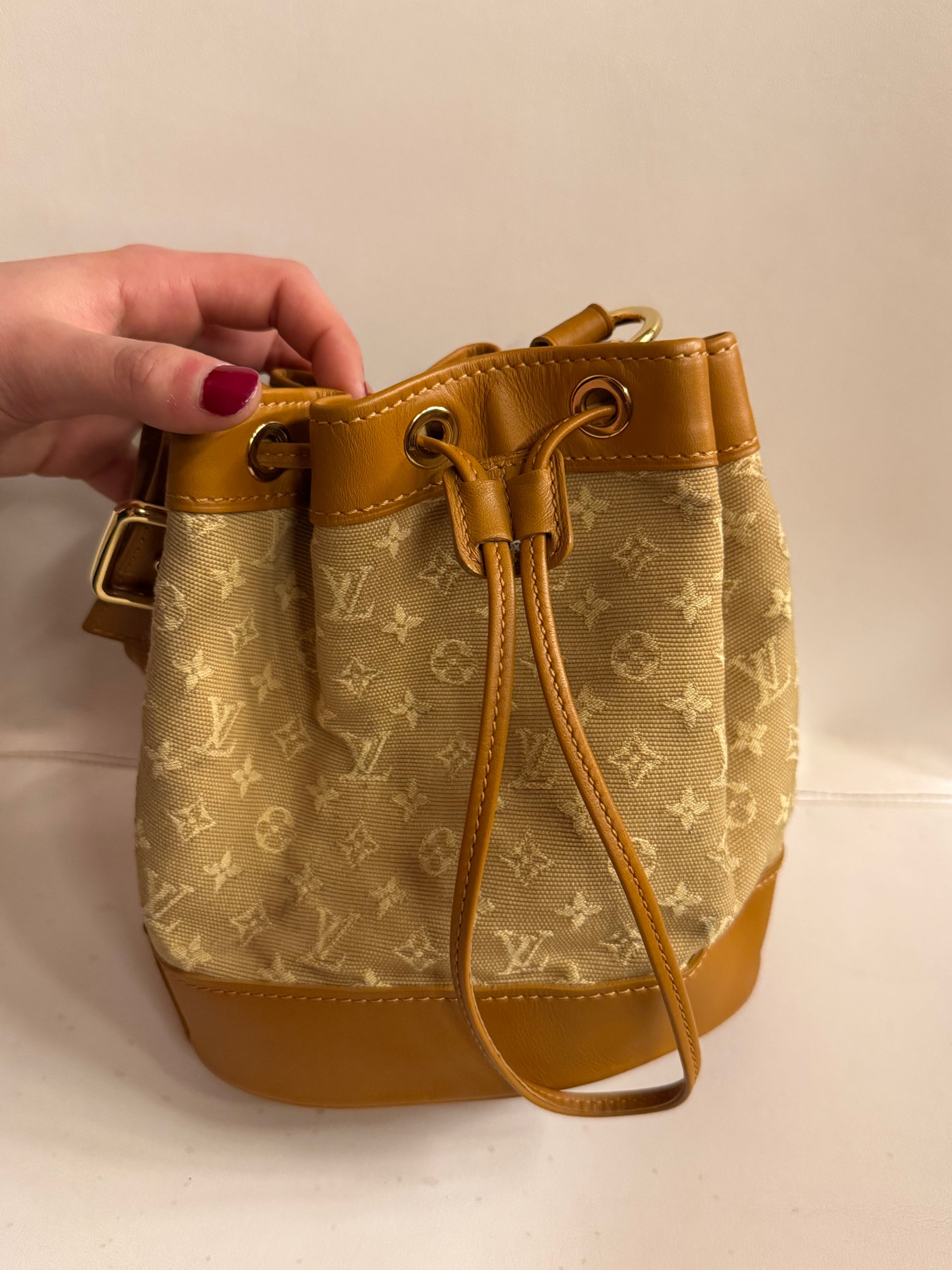 2003 Louis Vuitton mini Neo bag